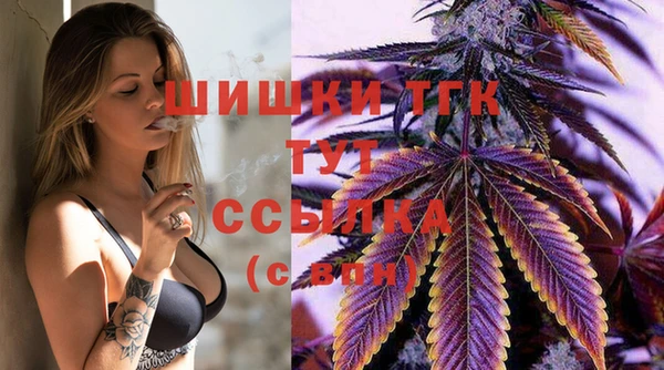 стаф Абаза