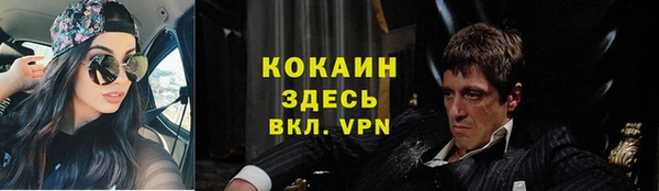 стаф Абаза