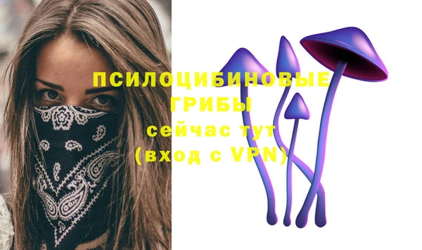 стаф Абаза