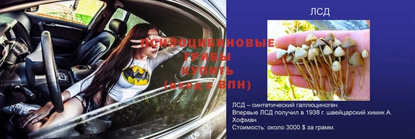 крисы Абинск